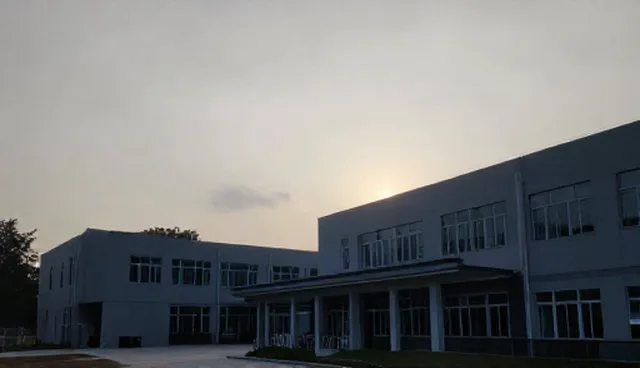 企业应对金融风险:两种做法的对比与取舍